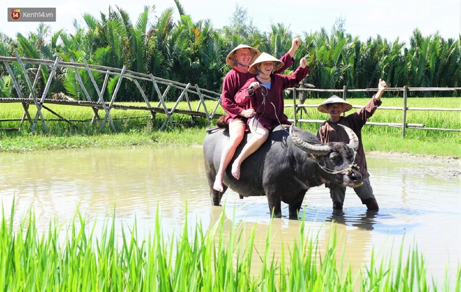 Tam Coc Sunshine Hostel Vũ Lâm エクステリア 写真